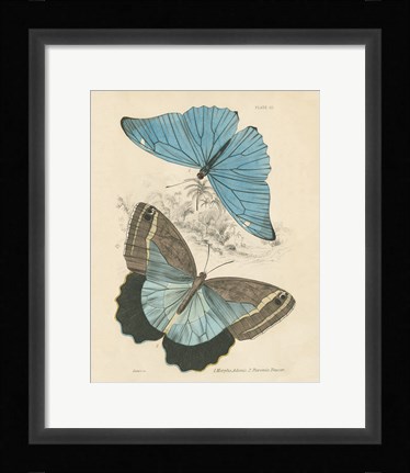 Framed Assortment Butterflies I Print
