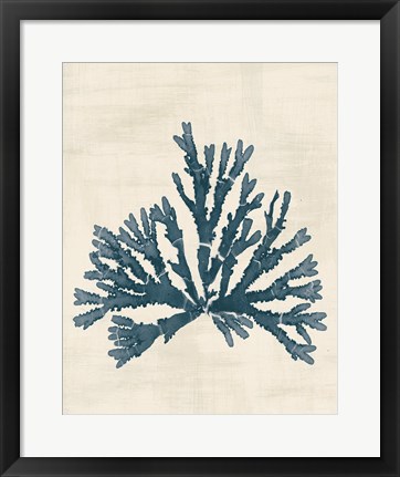 Framed Pacific Sea Mosses IV No Map Print