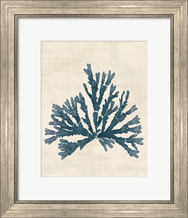 Framed Pacific Sea Mosses IV No Map Print