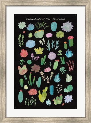 Framed Succulent Chart I of the Americas Print