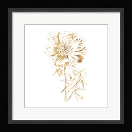 Framed Gilded Botanical VIII Sq Print