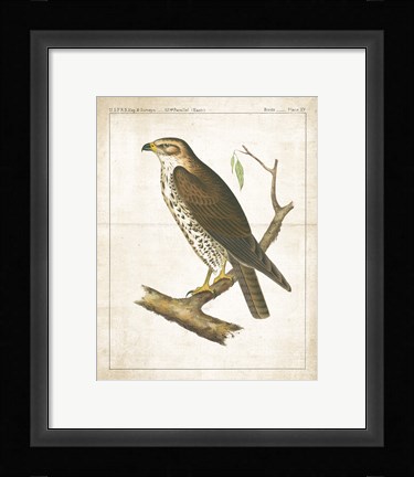 Framed Lookout II Print