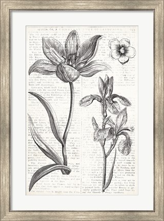 Framed Eden Spring II Print
