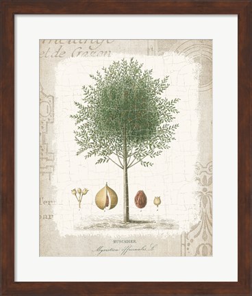 Framed Garden Trees I - Nutmeg Tree Print