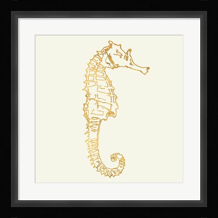 Framed Coastal Breeze Shell Sketches II Print