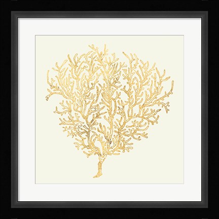 Framed Coastal Breeze Shell Sketches I Print