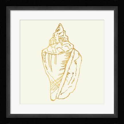 Framed Coastal Breeze Shell Sketches III Print