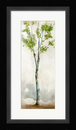 Framed Watercolor Birch Trees I Print