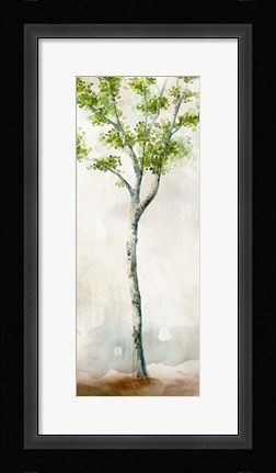Framed Watercolor Birch Trees II Print