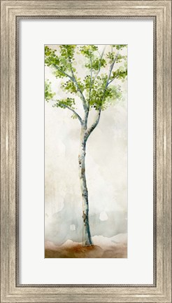 Framed Watercolor Birch Trees II Print