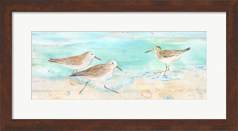 Framed Sandpiper Beach Panel Print