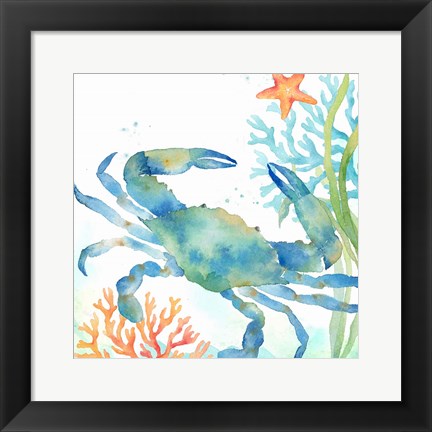 Framed Sea Life Serenade II Print