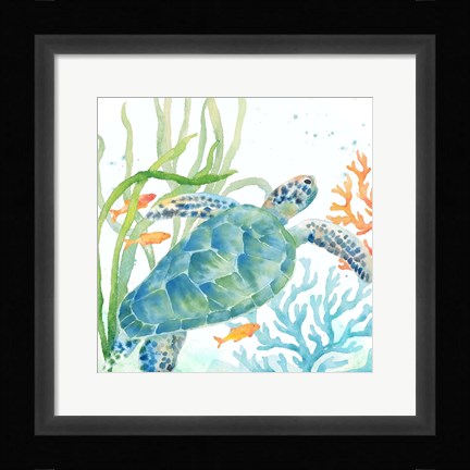 Framed Sea Life Serenade IV Print