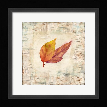 Framed Nature Walk Leaves I Print