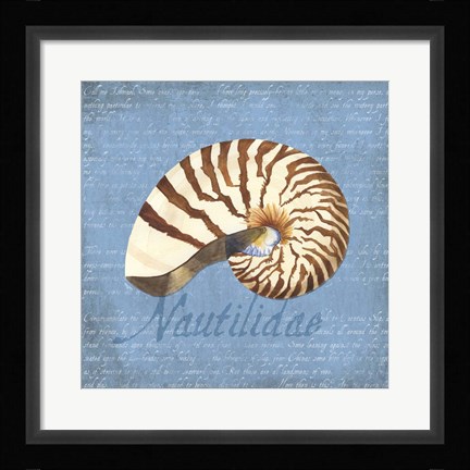Framed Oceanum Shells Blue III Print