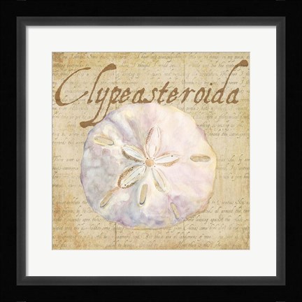 Framed Oceanum Shells Beige IV Print