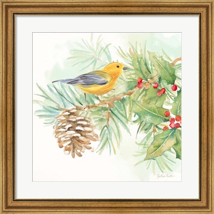Framed Winter Birds I Warbler Print