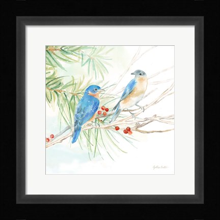 Framed Winter Birds III Bluebirds Print