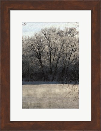 Framed Ice Mist Print