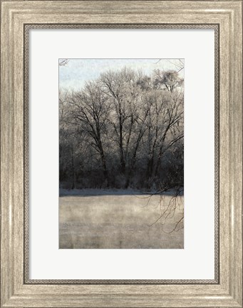 Framed Ice Mist Print
