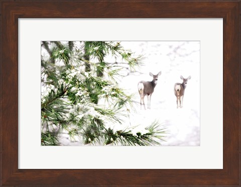 Framed Winter&#39;s Dream Print