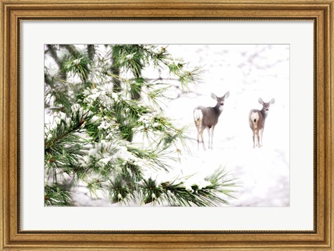 Framed Winter&#39;s Dream Print