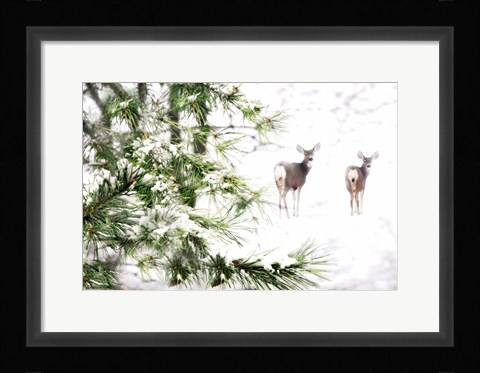 Framed Winter's Dream Print