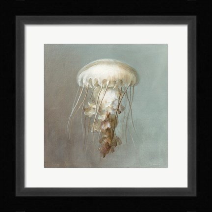 Framed Treasures from the Sea VI Print