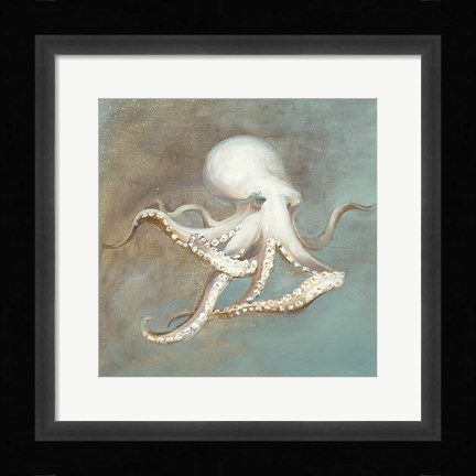 Framed Treasures from the Sea V Print