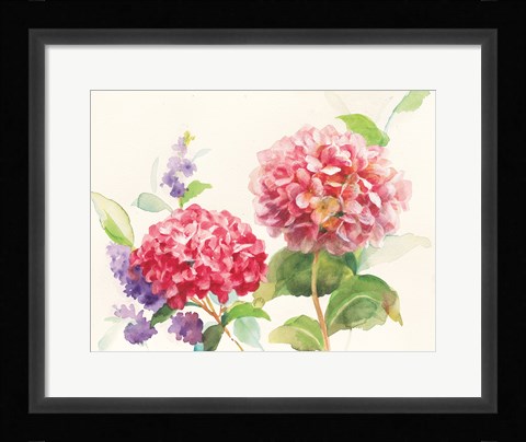 Framed Watercolor Hydrangea Print