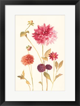 Framed Watercolor Flowers V Print
