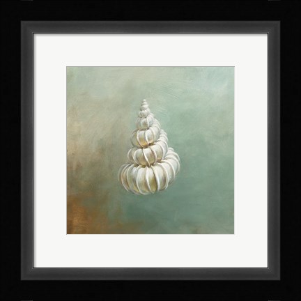 Framed Treasures from the Sea II Print