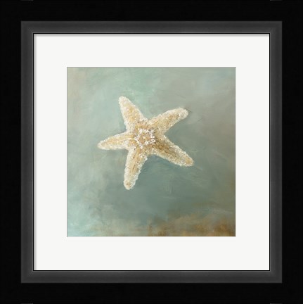 Framed Treasures from the Sea III Print