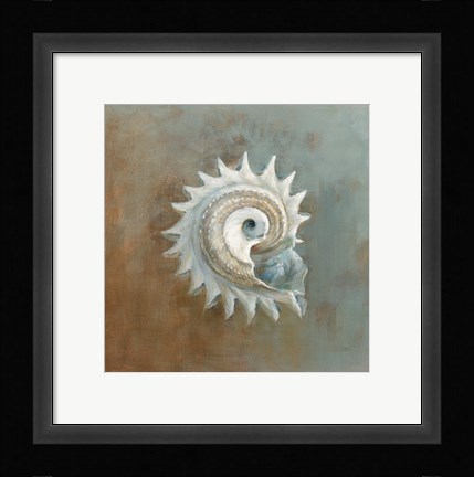 Framed Treasures from the Sea III Print