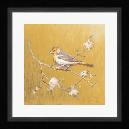 Framed Northern Oriole on Gold Print