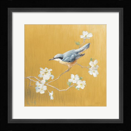 Framed Nuthatch on Gold Print