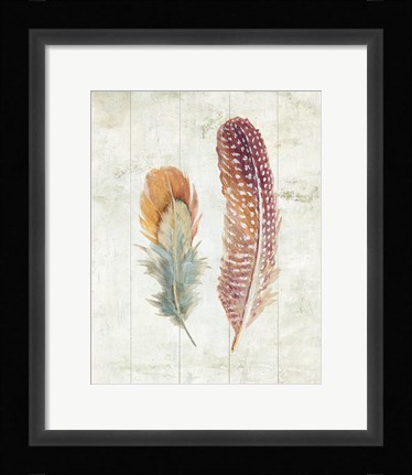 Framed Natural Flora XI Bold Feathers Print