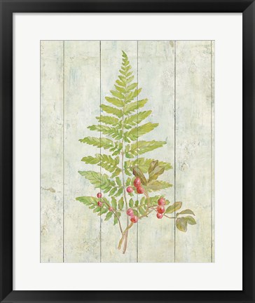 Framed Natural Floral XIII Print