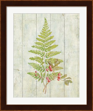 Framed Natural Floral XIII Print