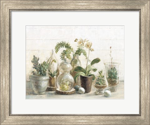 Framed Greenhouse Orchids on Shiplap Print
