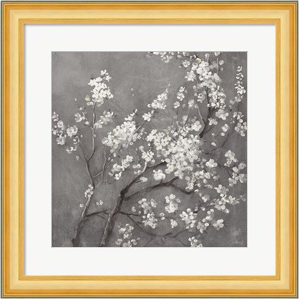 Framed White Cherry Blossoms I on Grey Crop Print