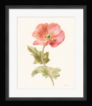 Framed Garden Poppy Print