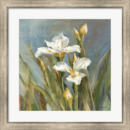 Framed Spring Iris II Print