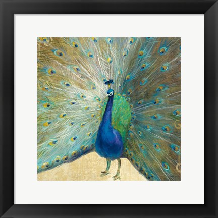 Framed Blue Peacock Cream Print