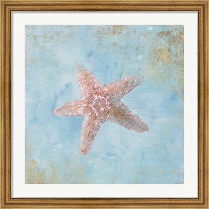 Framed Treasures from the Sea IV Watercolor Print