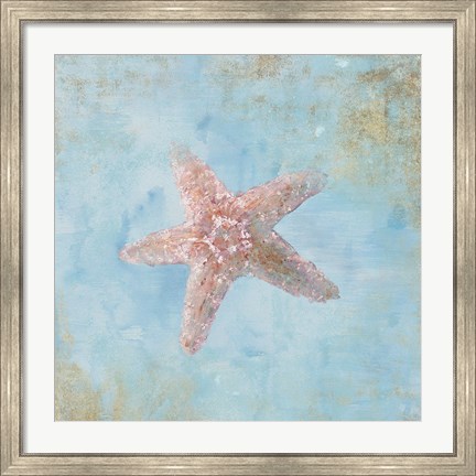 Framed Treasures from the Sea IV Watercolor Print