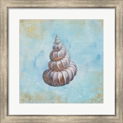 Framed Treasures from the Sea II Watercolor Print