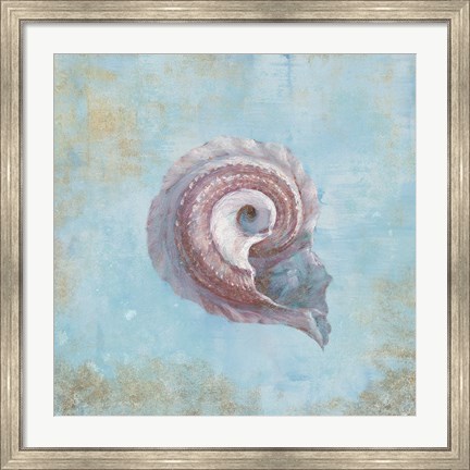 Framed Treasures from the Sea III Watercolor Print
