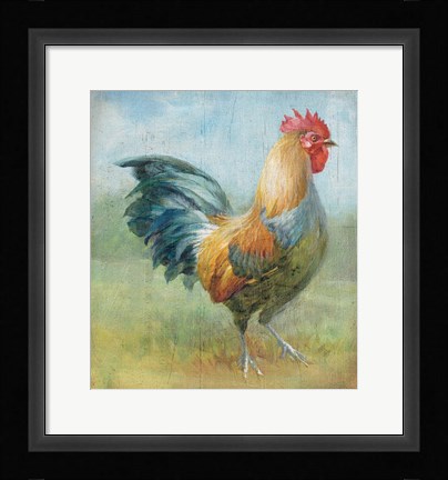 Framed Noble Rooster III Vintage No Border Print