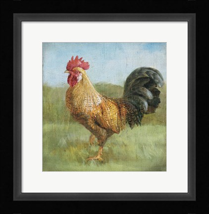 Framed Noble Rooster II Vintage No Border Print